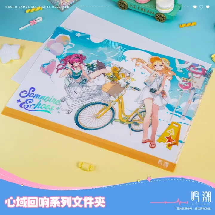 Somnoire Echoes Series Clear File - Wuthering Waves